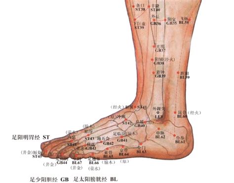 崑崙穴|人體穴位大全——崑崙穴：高血壓、頭痛、腰痛、難產、腸結石等。